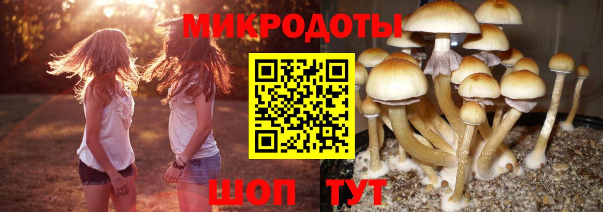 Псилоцибиновые грибы ЛСД  Вход с VPN  Хасавюрт 